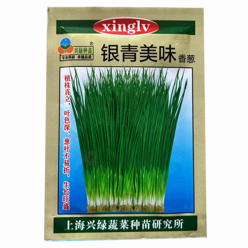 银青小香葱种子植株直立叶色上海四季小香葱种籽香味浓四季播