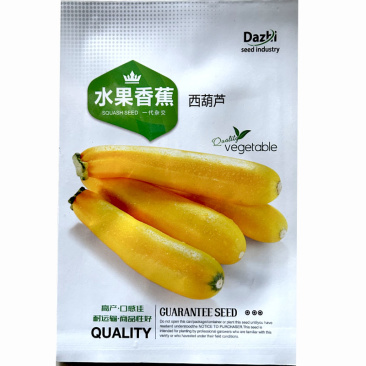 水果香蕉西葫芦种子黄皮杂交矮生盆栽早熟45天上市