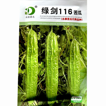绿剑116绿苦瓜种子疙瘩绿水果苦瓜育苗基地育苗纯度高
