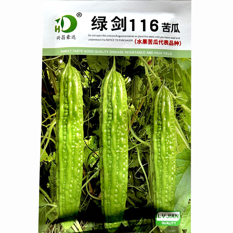 绿剑116绿苦瓜种子疙瘩绿水果苦瓜育苗基地育苗纯度高