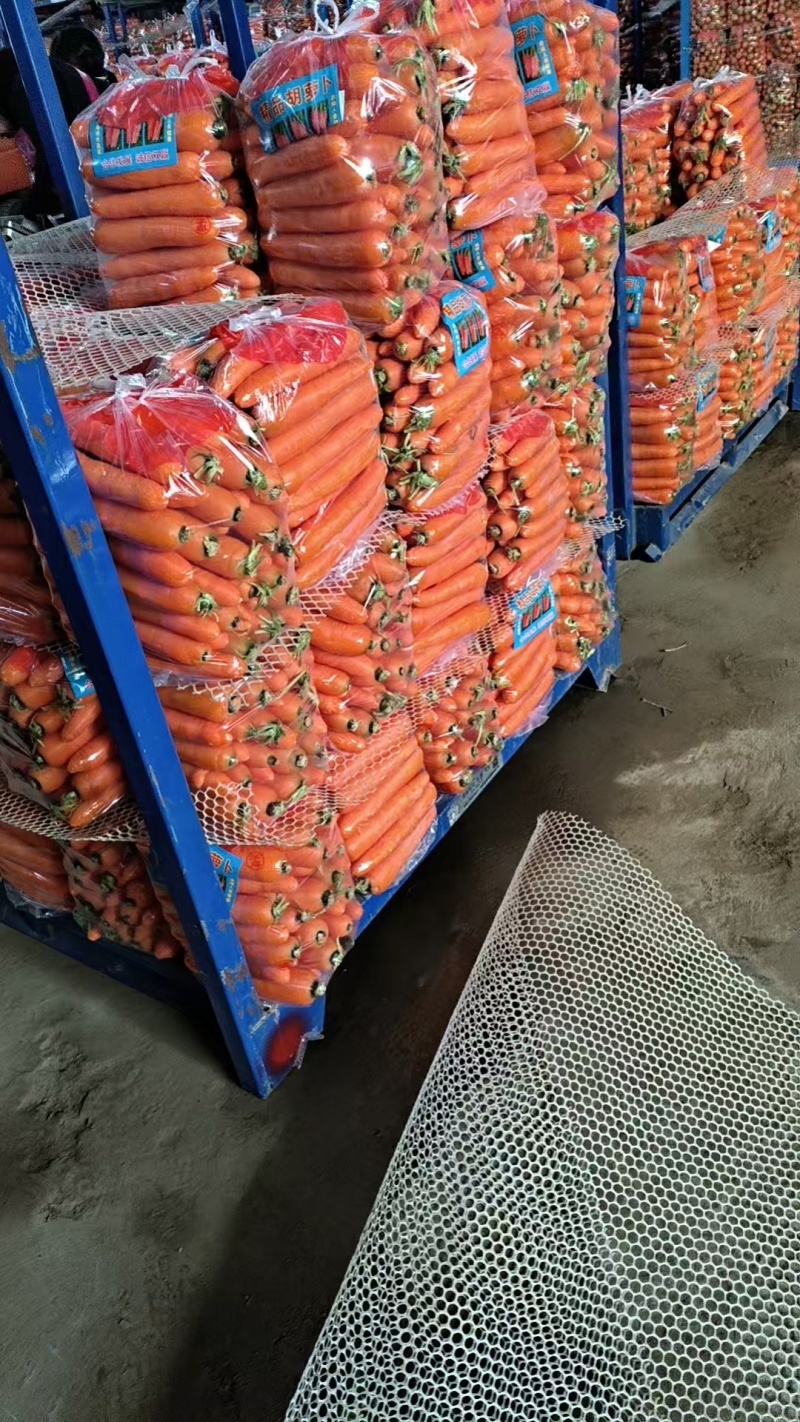 【代发全国】开封三红胡萝卜大量上市货源充足一手货源