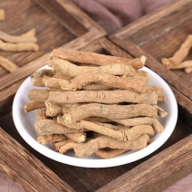 中药材木香大货批发一手货源