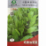 油麦菜种子叶用莴笋耐寒青菜秋冬季四季盆栽农家蔬菜种籽
