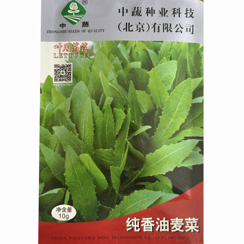 油麦菜种子叶用莴笋耐寒青菜秋冬季四季盆栽农家蔬菜种籽