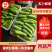 西葫芦山东绿皮西葫芦大量供应对接市场电商商超