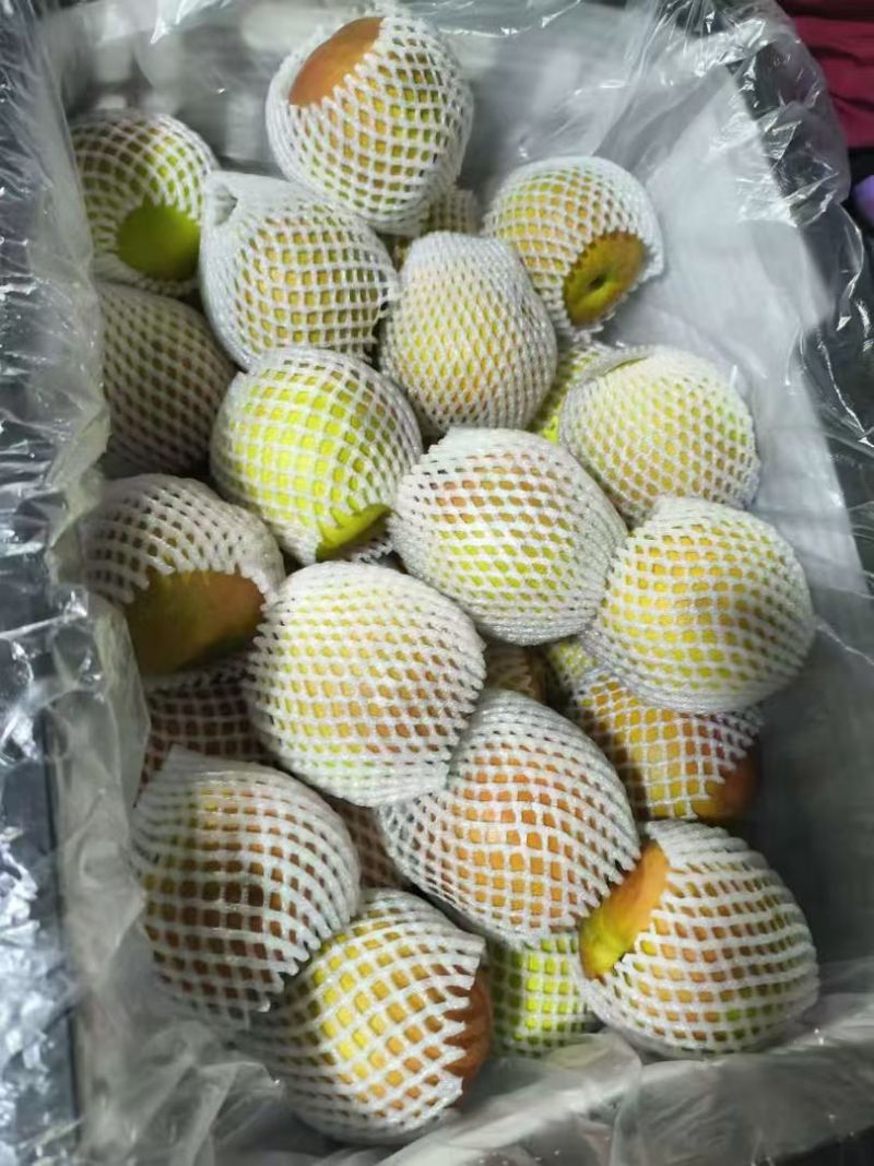 河北玉露香梨整箱批发现摘脆甜应季水果酥梨子