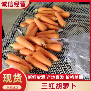红萝卜水洗小条，中条，通货，大头，各种包装，土萝卜。