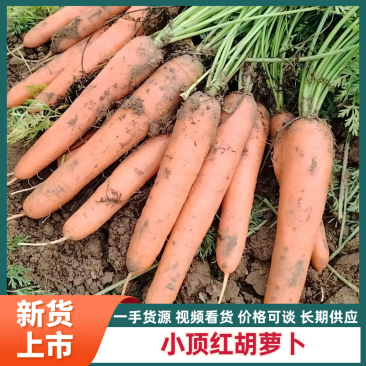 小顶红胡萝卜加工，水洗，干货。20斤包，10斤包，各种包装。