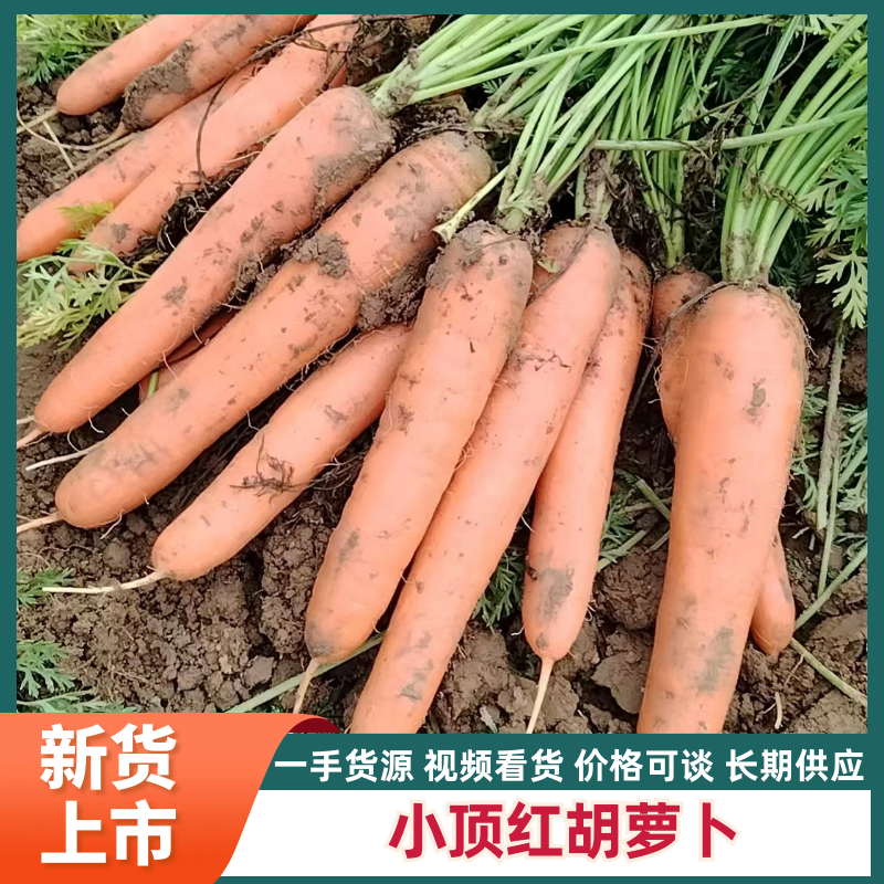 小顶红胡萝卜加工，水洗，干货。20斤包，10斤包，各种包装。