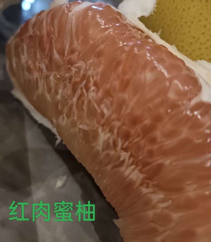 红肉蜜柚10月份成熟，支持视频看货，可发往全国市场