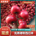 西红柿河北精品硬粉西红柿大量供应随行就市量大从优