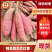河北精品西瓜红红薯大量供应中随行就市质量保证