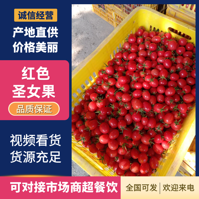广西田阳圣女果千禧圣女果大量上市价格实惠品质保障