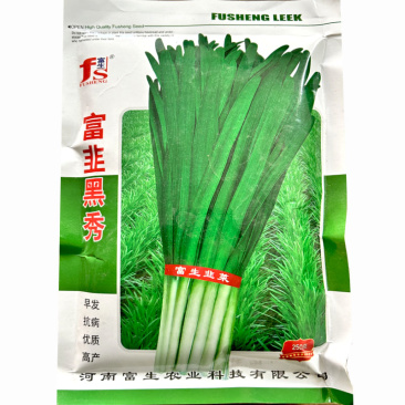 富韭黑秀韭菜种子抗寒抗病越冬高产韭菜速生宽叶粗杆原装韭菜