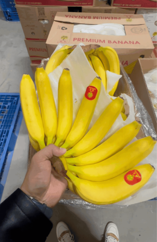 特价精品进口菲律宾香蕉，香甜软糯，品质保证，可发全国。