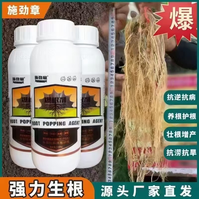 生根剂壮苗根多多生根水果蔬菜通用爆发生根含氨基酸水溶肥