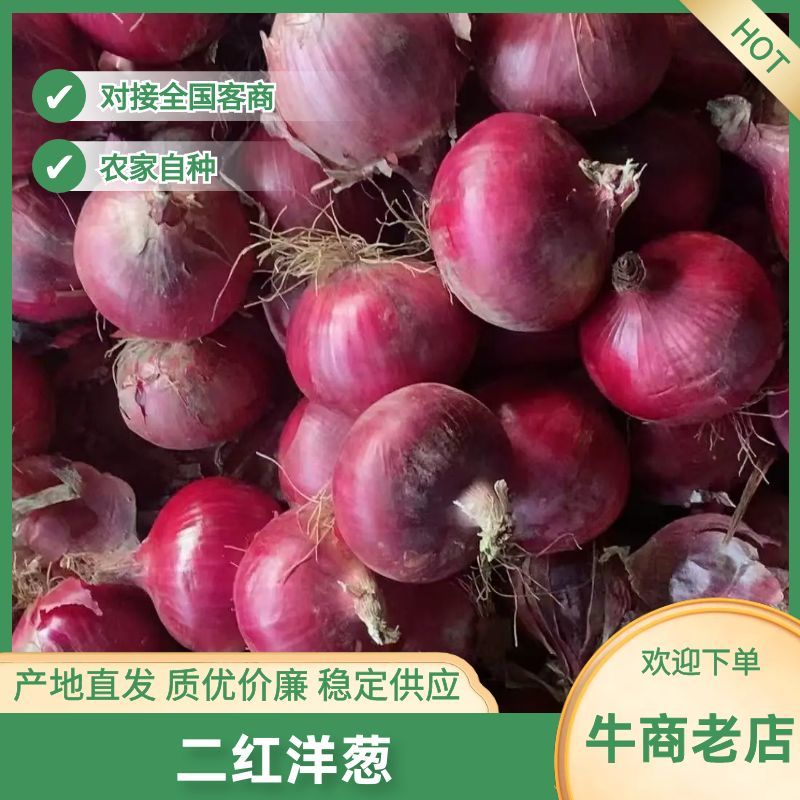 精品二红扁洋葱、代发全国、优质货源、产地直销