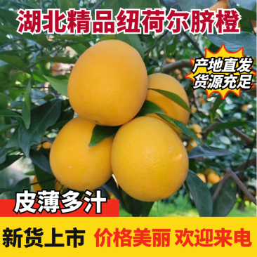 【优】精品纽荷尔脐橙橙子产地现摘现发人工选果