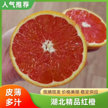 【优】优质中华红血橙口感纯甜产地直发量大从优
