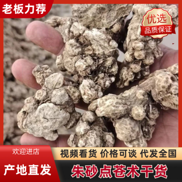 大量供应东北地区朱砂点苍术干货货源稳定量大价优欢迎致电