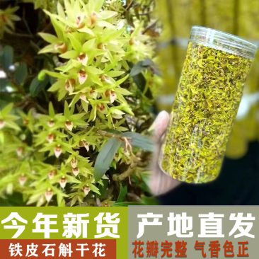 原产石斛干花非野生花茶铁皮石斛花批发今年新货烤干当