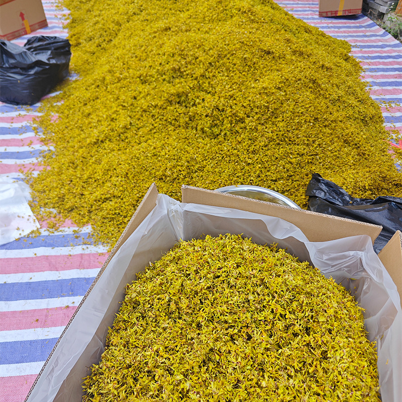 原产石斛干花非野生花茶铁皮石斛花批发今年新货烤干当