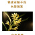 原产石斛干花非野生花茶铁皮石斛花批发今年新货烤干当