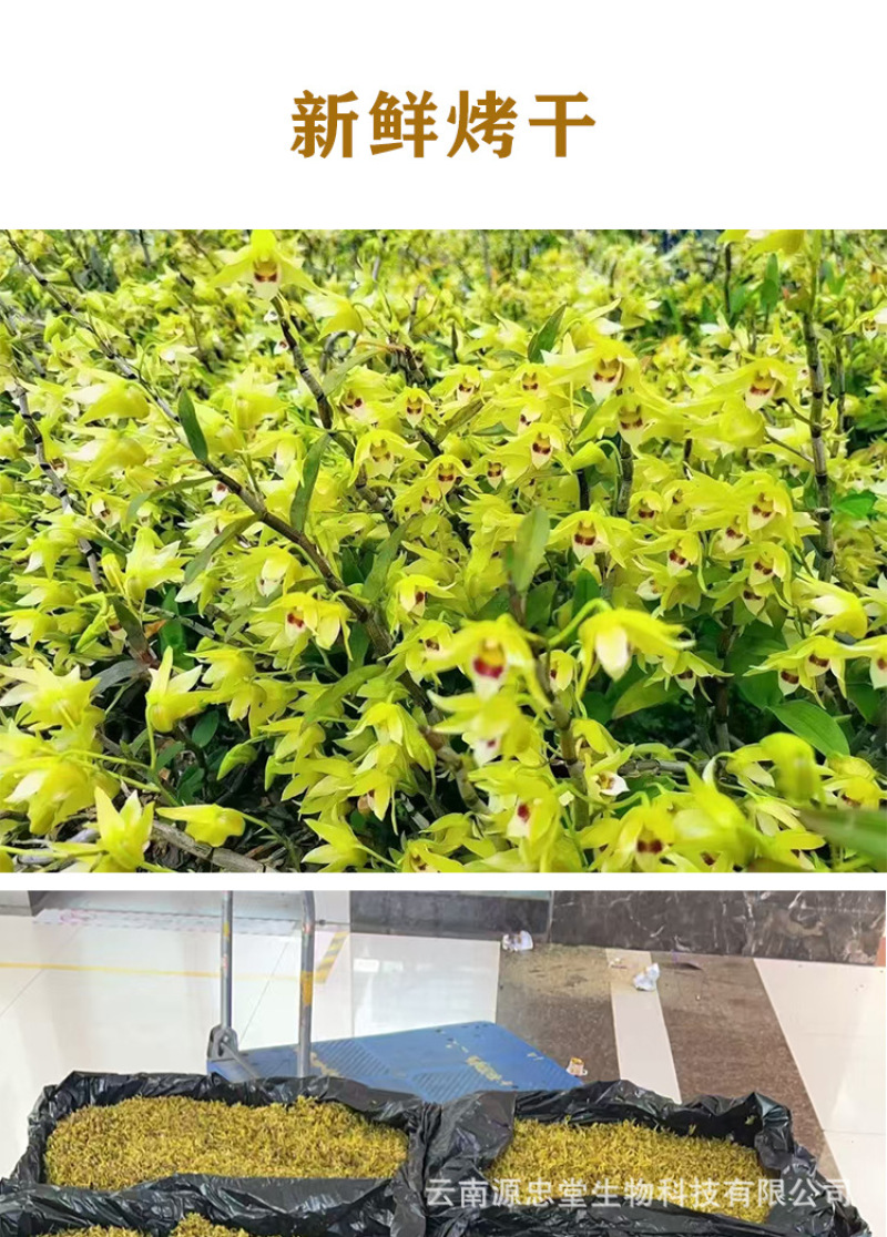 原产石斛干花非野生花茶铁皮石斛花批发今年新货烤干当