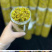 原产石斛干花非野生花茶铁皮石斛花批发今年新货烤干当