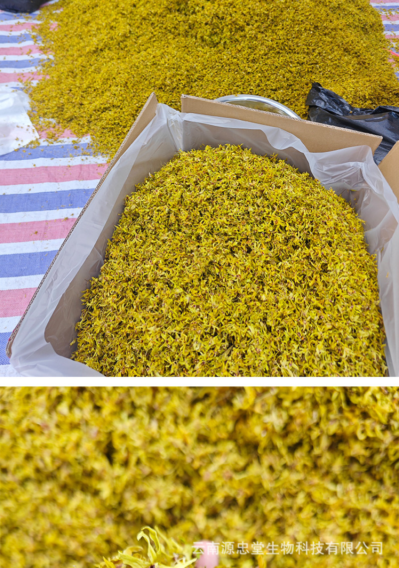 原产石斛干花非野生花茶铁皮石斛花批发今年新货烤干当