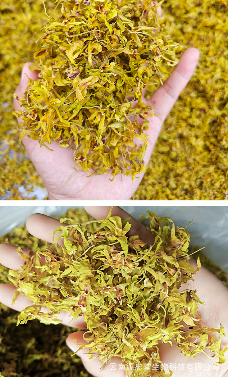原产石斛干花非野生花茶铁皮石斛花批发今年新货烤干当