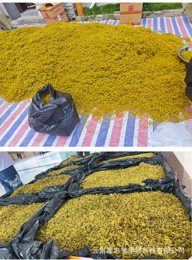 原产石斛干花非野生花茶铁皮石斛花批发今年新货烤干当