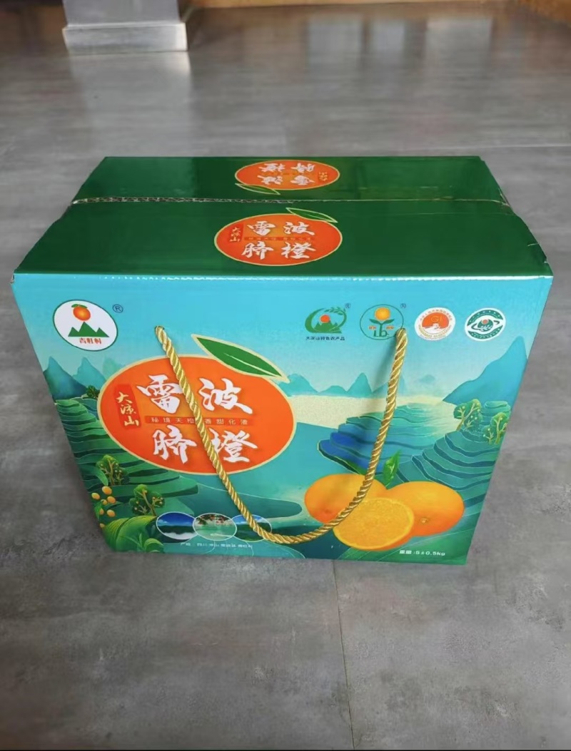 【一件代发】四川大凉山精品雷波脐橙产地直发质量保证包邮