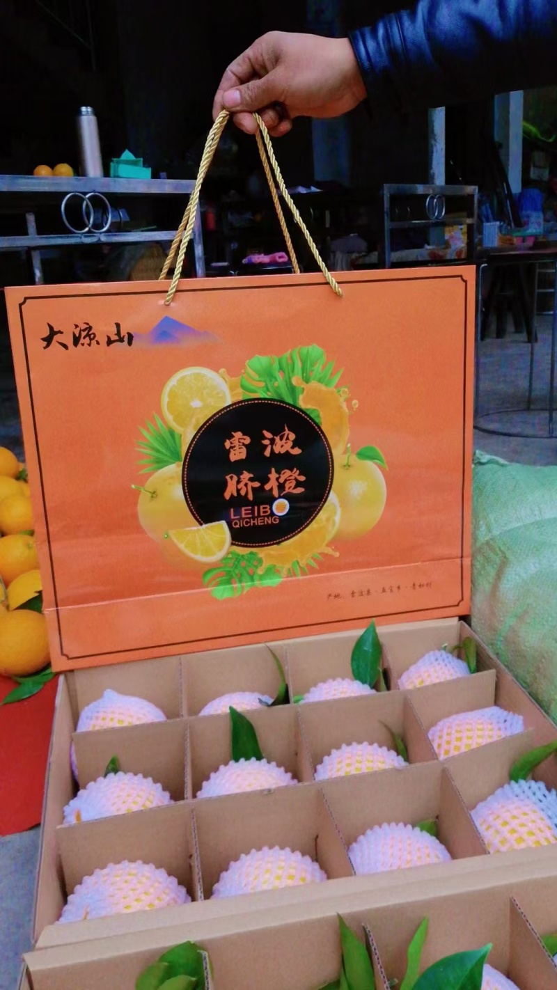 【一件代发】四川大凉山精品雷波脐橙产地直发质量保证包邮