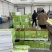 速冻糯玉米厂家直发一手货源价格美丽欢迎致电咨询