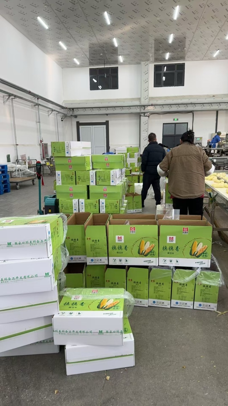 速冻糯玉米厂家直发一手货源价格美丽欢迎致电咨询
