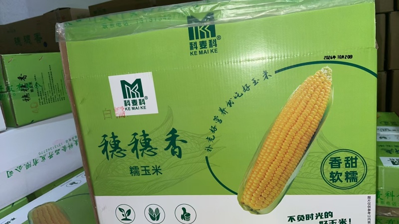 速冻糯玉米厂家直发一手货源价格美丽欢迎致电咨询