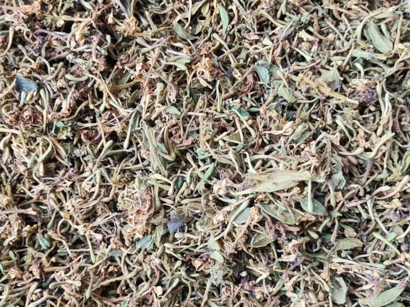 贵州深山***金银花无农yao无化肥自然生长金银花