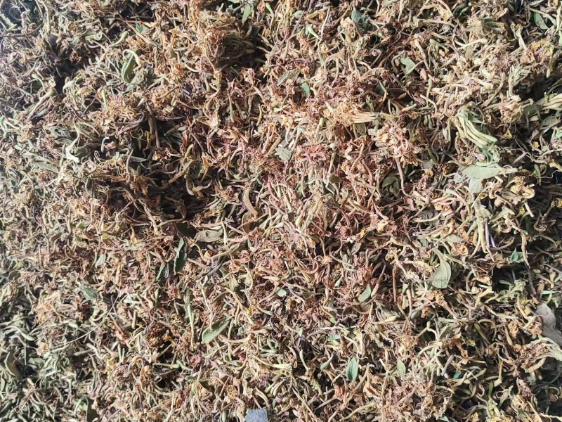 贵州深山***金银花无农yao无化肥自然生长金银花