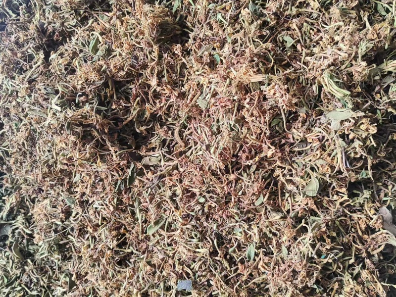 贵州深山***金银花无农yao无化肥自然生长金银花