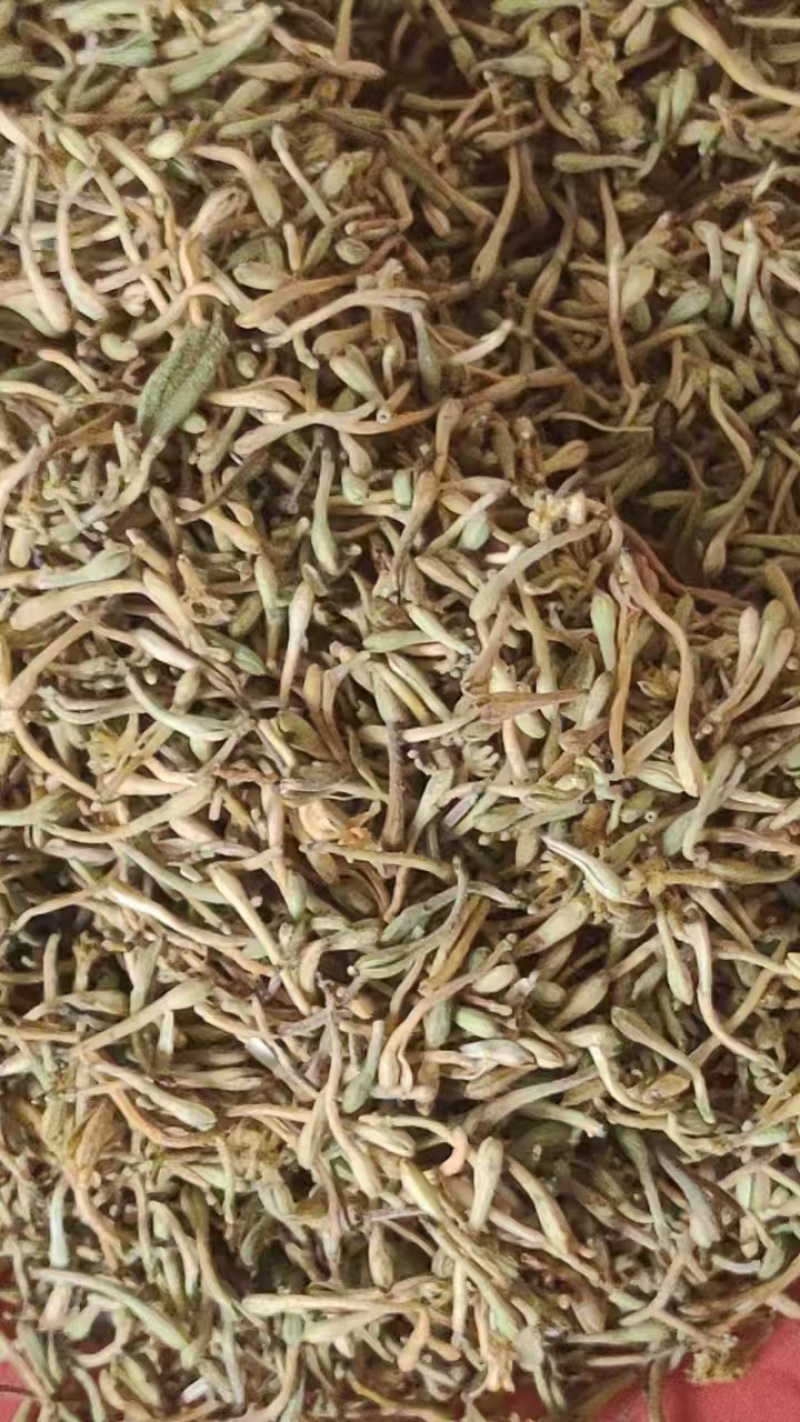 特级金银花毛尖颜色好颗粒长无碎无硫药食同源价格美丽