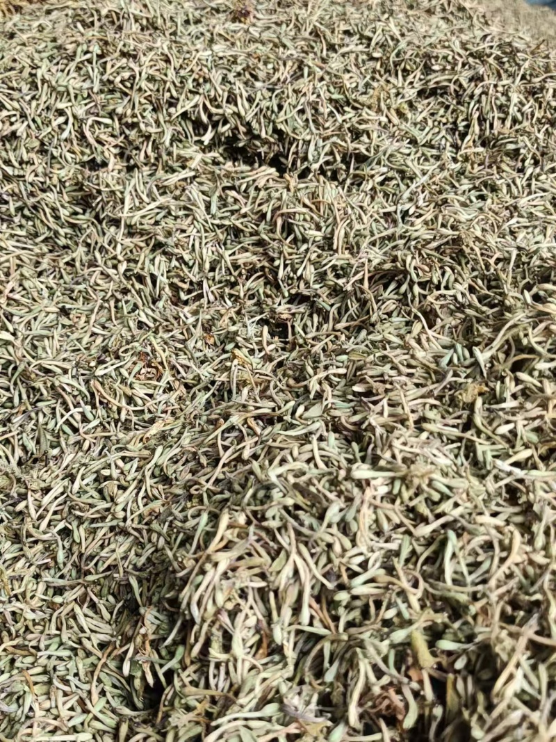 特级金银花毛尖颜色好颗粒长无碎无硫药食同源价格美丽
