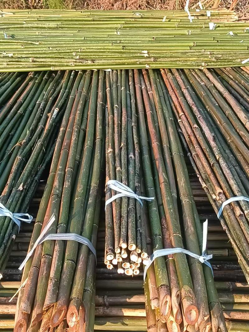 上饶德兴市精品竹子，保质保量，欢迎各位老板前来选购