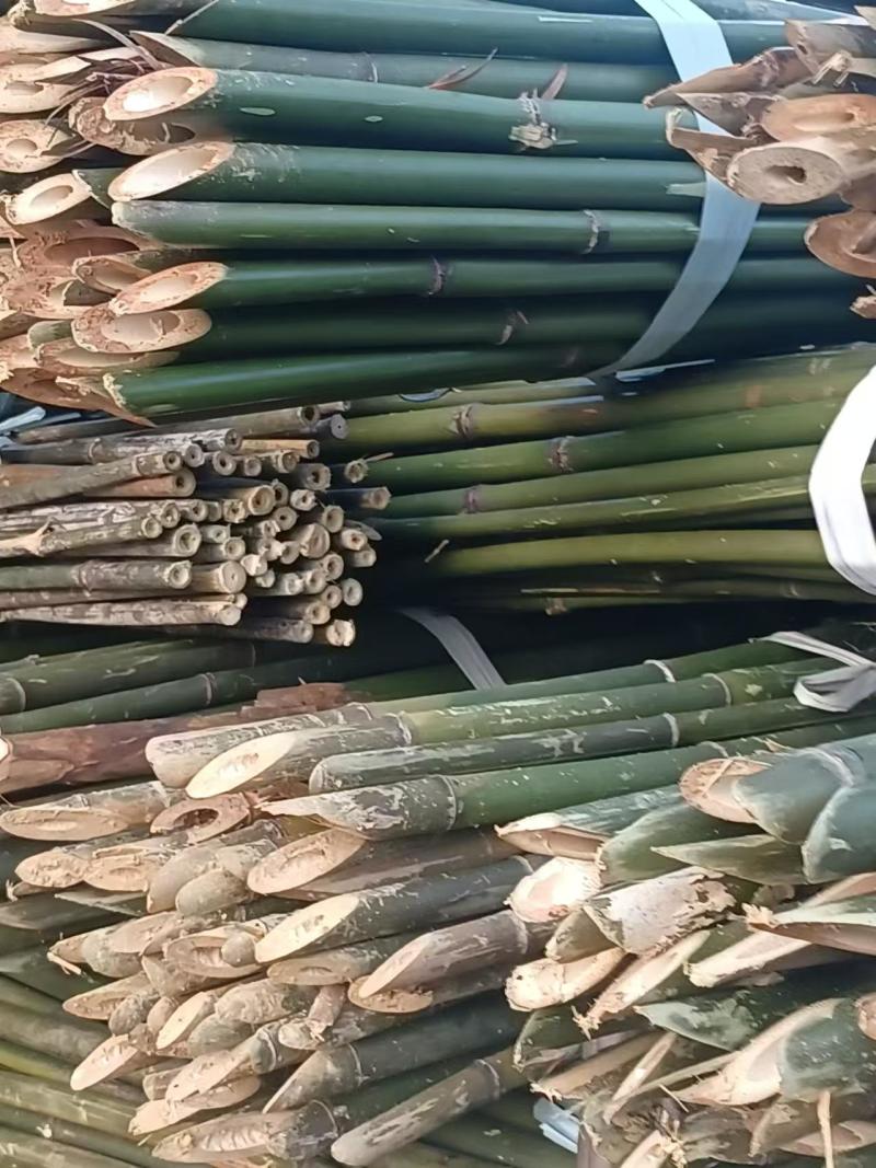 上饶德兴市精品竹子，保质保量，欢迎各位老板前来选购