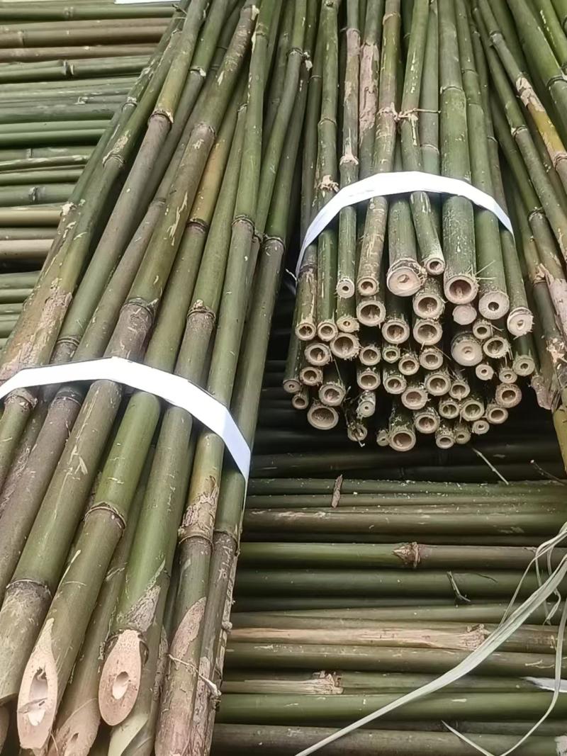 上饶德兴市精品竹子，保质保量，欢迎各位老板前来选购