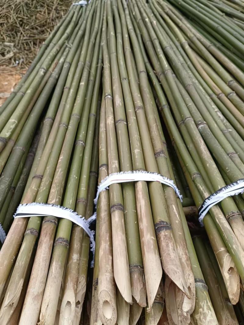 上饶德兴市精品竹子，保质保量，欢迎各位老板前来选购