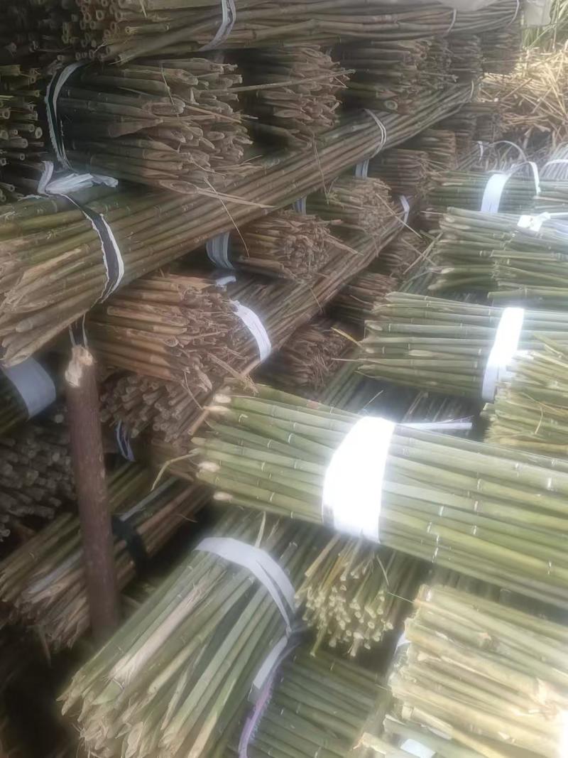 上饶德兴市精品竹子，保质保量，欢迎各位老板前来选购