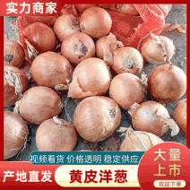 黄皮洋葱，可供应各大市场，电商平台，诚信经营欢迎咨询