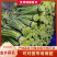 红帽蒜苔产地直发,价格便宜量大从优欢迎咨询