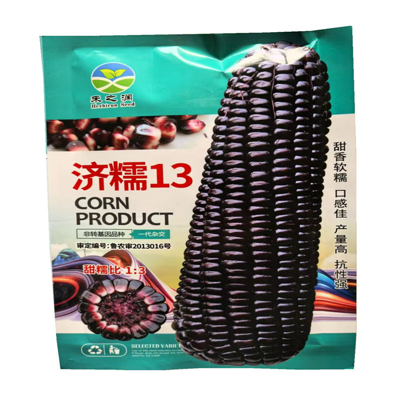 济糯13黑甜糯玉米种子黑玉米种子粘玉米种子